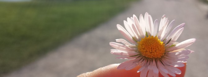 Alles Liebe zum Geburtstag Bruder Herz! Alles Liebe zum Geburtstag Bruder Herz!